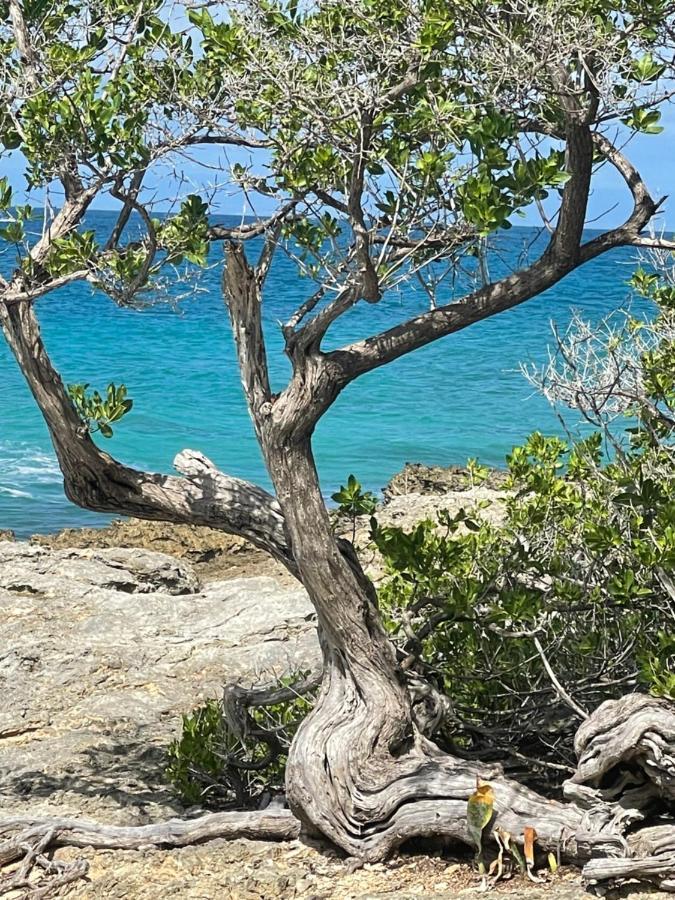 Côté Plage Saint-Francois  Esterno foto